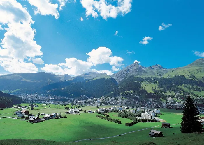 باي سولاريا المخدومة