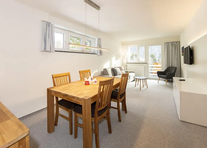 باي سولاريا المخدومة